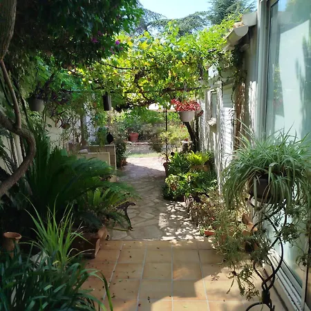 L'olivade * La Seyne-sur-Mer